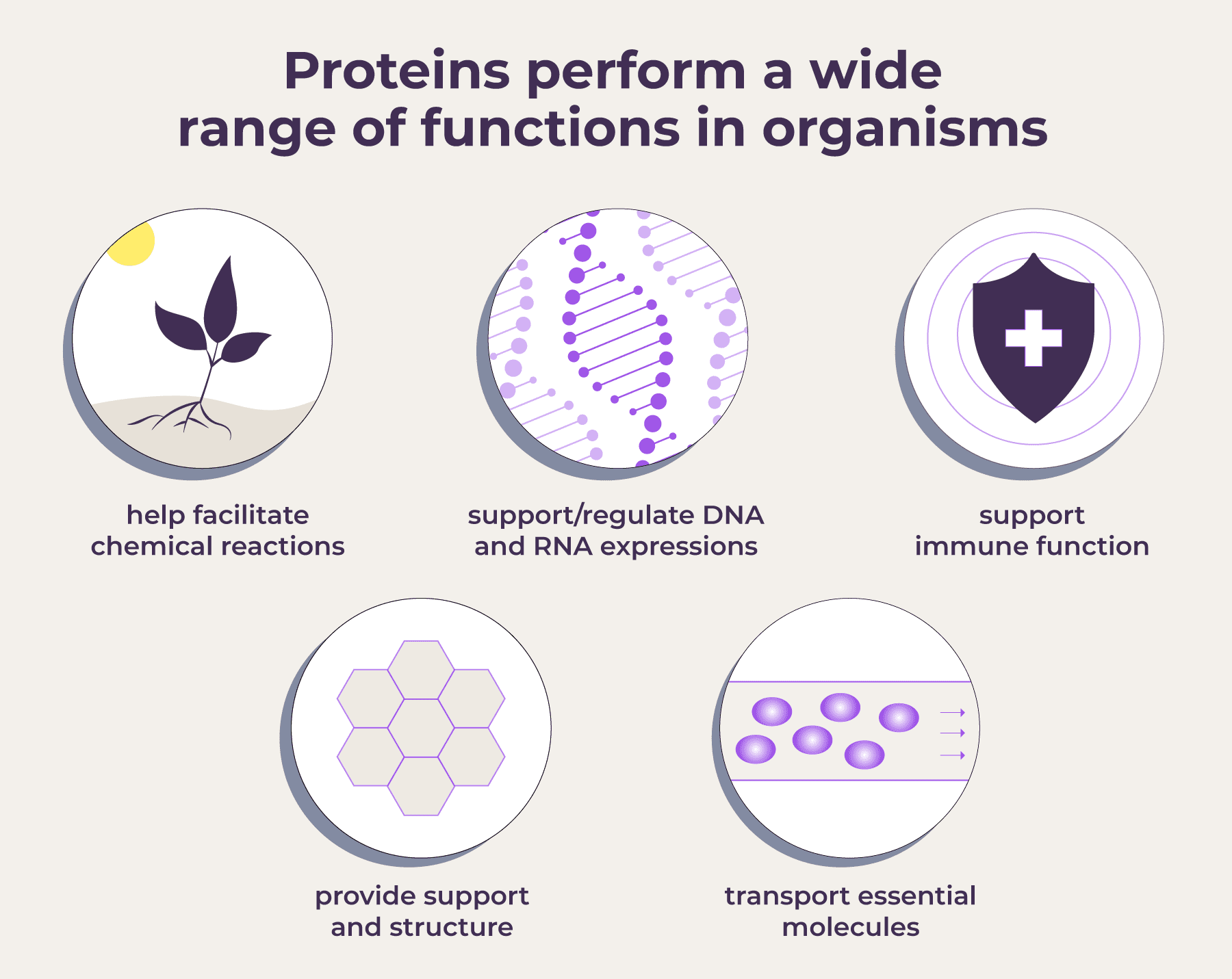 PD-Protein-Functions