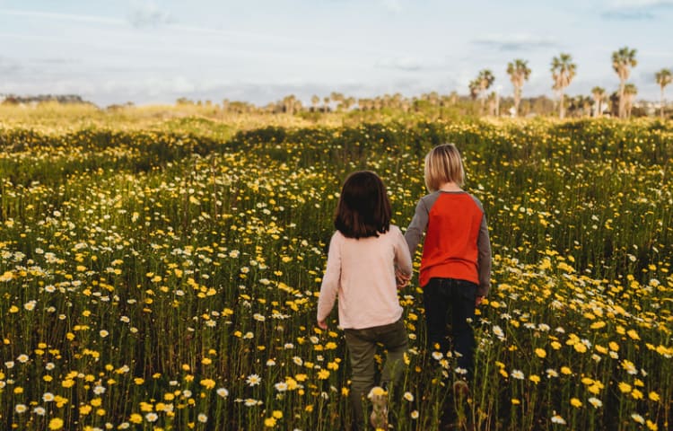 two children walking in a flower field